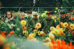 Stereogum home